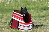 SAC - CARRY BAG 004